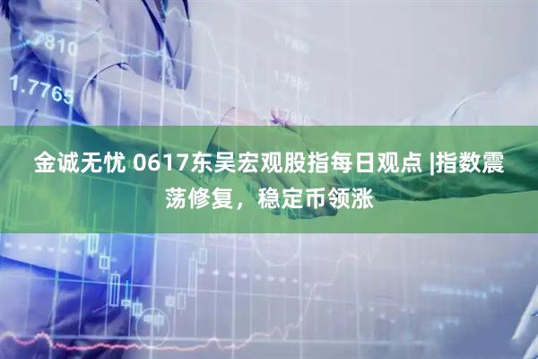 金诚无忧 0617东吴宏观股指每日观点 |指数震荡修复，稳定币领涨