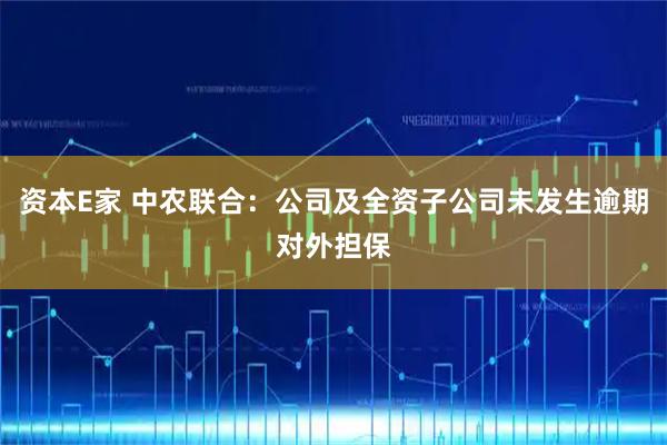 资本E家 中农联合:公司及全资子公司未发生逾期对外担保